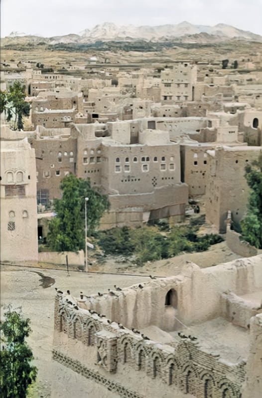 مديرية رداع تبحث تأسيس جمعية تعاونية زراعية لتعزيز العمل التنموي والمجتمعي￼
