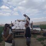 جمعية يريم التعاونية تواصل جمع وتسويق 200 طن من القمح والفاصوليا