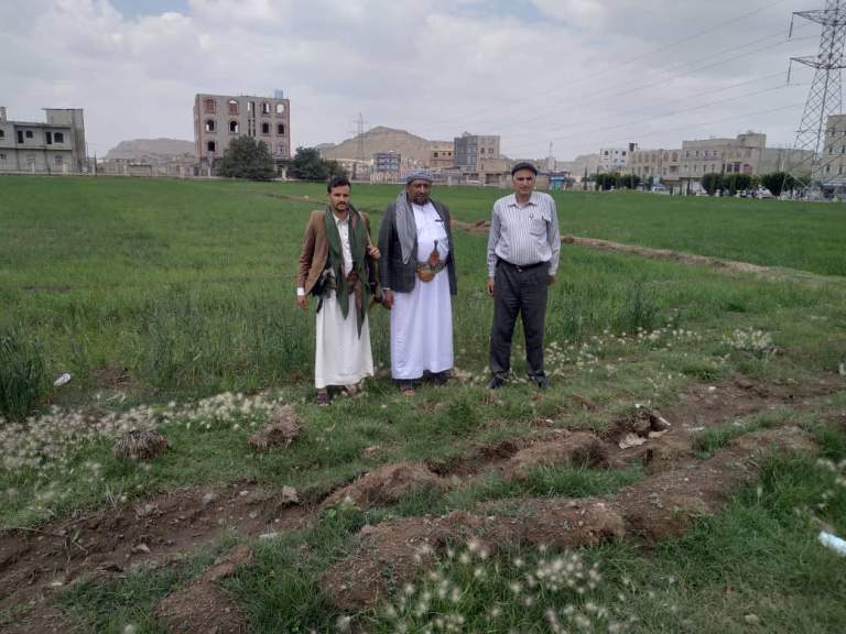 إب.. الجمعية النموذجية بيريم تنفذ نزولاً ميدانياً إلى حقول زراعة القمح بعزلة رعين