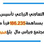 ثورة الـ 21 من سبتمبر.. نقطة تحول مفصلية في واقع العمل التعاوني الزراعي