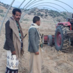 نزول ميداني إلى عزلة جعيرة بالسلفية لتقييم زراعة الذرة الشامية نزول ميداني إلى عزلة جعيرة بالسلفية لتقييم زراعة الذرة الشامية