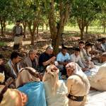 يوم حقلي لمزارعين فاكهة المانجو في مديرية باجل يوم حقلي لمزارعين فاكهة المانجو في مديرية باجل