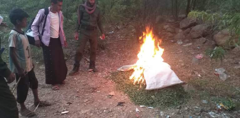 جمعية الخبت تنفذ حملة توعوية لمنع بيع أوراق شجر السدر وضبط المخالفين جمعية الخبت تنفذ حملة توعوية لمنع بيع أوراق شجر السدر وضبط المخالفين