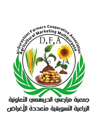 الحديدة.. الاطلاع على سير عملية تجميع الألبان في مديرية الدريهمي