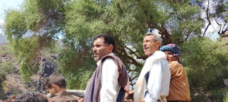 المحويت.. تشكيل إدارة فنية للإشراف على تفعيل محمية وادي ملح لإنتاج العسل الدوائي ببني سعد