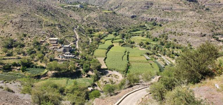 جمعية دمت تنفذ نزول ميداني إلى وادي قهلان اتقييم احتياجات المزارعين جمعية دمت تنفذ نزول ميداني إلى وادي قهلان اتقييم احتياجات المزارعين