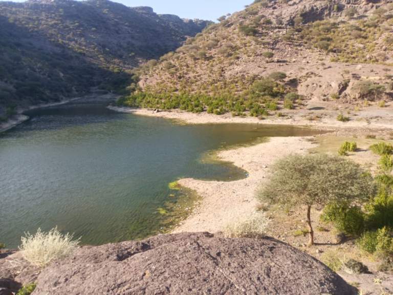 إقرار آلية لتنظيم ري الأراضي الزراعية وتحصيل مياه سد شعب علي في عزلة الوحج بقعطبة