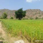 جمعية الخبت تواصل تنفيذ أنشطتها الميدانية ضمن خطة سلاسل القيمة الزراعية