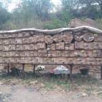 جمعية بني سعد التعاونية تبدأ عملية تختيم خلايا النحل بمحمية وادي عشق