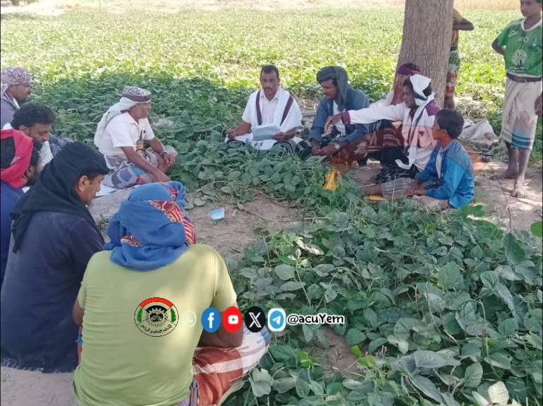 يوم حقلي لمزارعي الذرة الشامية وتشكيل مجاميع إنتاجية نموذجية في عزلة القعابيل ببيت الفقية ￼