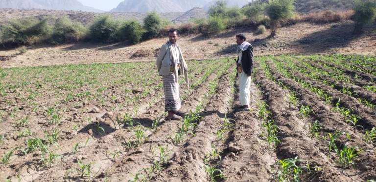تنفيذ أنشطة إرشادية وتوعوية في الدومر بالسلفية