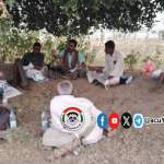 تشكيل مجموعة إنتاجية لزراعة الذرة الشامية بعزلة البوني في مديرية بني قيس ￼