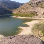 إقرار آلية لتنظيم ري الأراضي الزراعية وتحصيل مياه سد شعب علي في عزلة الوحج بقعطبة