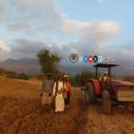 جمعية الحُجيلة تنفّذ سلسلة أنشطة ميدانية لتعزيز الرقابة الصحية ودعم الإنتاج الزراعي والبيطري