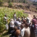 أنشطة ميدانية في جبل الشرق لتشكيل المجاميع الإنتاجية وتعزيز التنظيم الزراعي المجتمعي