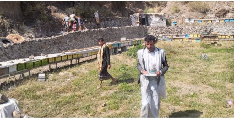 ذمار.. تشكيل مجاميع إنتاجية لنحالي عزلة دمام بجبل الشرق ذمار.. تشكيل مجاميع إنتاجية لنحالي عزلة دمام بجبل الشرق