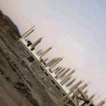 جهود ميدانية في دمت لحصر الأسر المستهدفة من مشاريع التمكين ومتابعة المبادرات المجتمعية￼￼￼￼ ￼