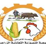 ورشة تنسيقية بالمنصورية لتعزيز التكامل بين الجمعية الزراعية والجهات المجتمعية لتفعيل المجاميع الإنتاجية ورشة تنسيقية بالمنصورية لتعزيز التكامل بين الجمعية الزراعية والجهات المجتمعية لتفعيل المجاميع الإنتاجية