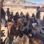 تشكيل ثلاث مجاميع إنتاجية في ربع الحد العليا والقارة بمديرية جبل الشرق￼￼￼￼ ￼