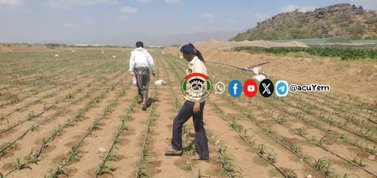 جمعية الحُجيلة تنفّذ سلسلة أنشطة ميدانية لتعزيز الرقابة الصحية ودعم الإنتاج الزراعي والبيطري