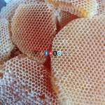 جمعية الخبت تتابع تجهيز عسل السدر الدوائي وتؤكد التزامها بمعايير الجودة والإنتاج النقي