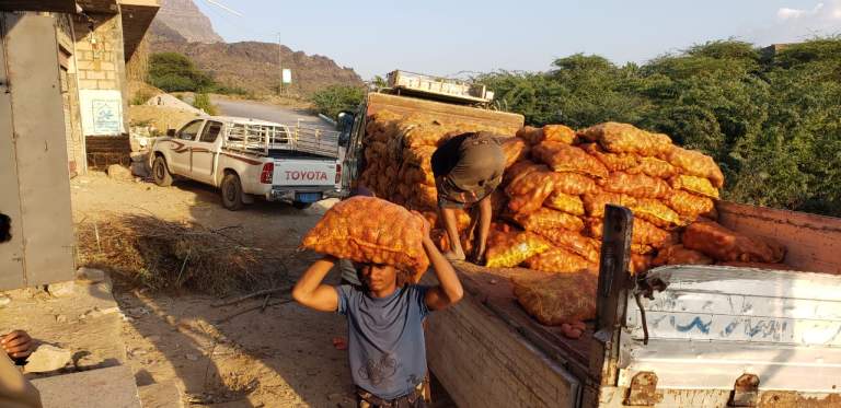 جمعية جبل الشرق تُدشين توزيع 10 أطنان من بذور البطاط المُحسنة جمعية جبل الشرق تُدشين توزيع 10 أطنان من بذور البطاط المُحسنة