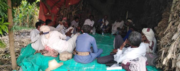 اجتماع يناقش إنشاء حقول إيضاحية للذرة الشامية في مديرية بني قيس بحجة