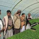 رئيس الاتحاد التعاوني الزراعي ووكيل محافظة ذمار يزوران مشاريع زراعية وأسر منتجة بجهران رئيس الاتحاد التعاوني الزراعي ووكيل محافظة ذمار يزوران مشاريع زراعية وأسر منتجة بجهران