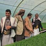 رئيس الاتحاد التعاوني الزراعي ووكيل محافظة ذمار يزوران مشاريع زراعية وأسر منتجة بجهران رئيس الاتحاد التعاوني الزراعي ووكيل محافظة ذمار يزوران مشاريع زراعية وأسر منتجة بجهران