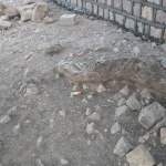 جهود ميدانية في دمت لحصر الأسر المستهدفة من مشاريع التمكين ومتابعة المبادرات المجتمعية￼￼￼￼ ￼