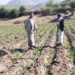 تنفيذ أنشطة إرشادية وتوعوية في الدومر بالسلفية