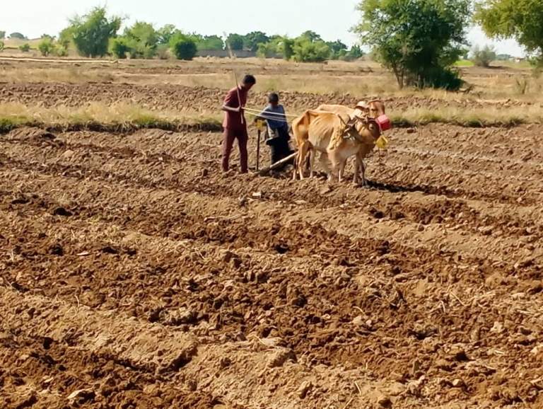 زيارات لتقييم المشاريع الزراعية والحيوانية في الوعارية والمناصرة بالمنصورية￼￼￼￼ ￼