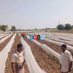 فريق من جمعية بيت الفقيه ينفذ نزولاً ميدانياً للتحقق من المجاميع الإنتاجية النموذجية في المحراسة والمجاملة