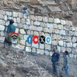 مبادرة مجتمعية لرصف طريق مشروع سوق المدرة في مديرية وصاب العالي مبادرة مجتمعية لرصف طريق مشروع سوق المدرة في مديرية وصاب العالي