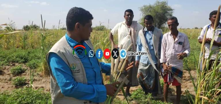 جمعيّة باجل تنفّذ زيارةً ميدانيّةً لتقييم مزارعي الذرة الرفيعة والدخن في عزلة الجمادي