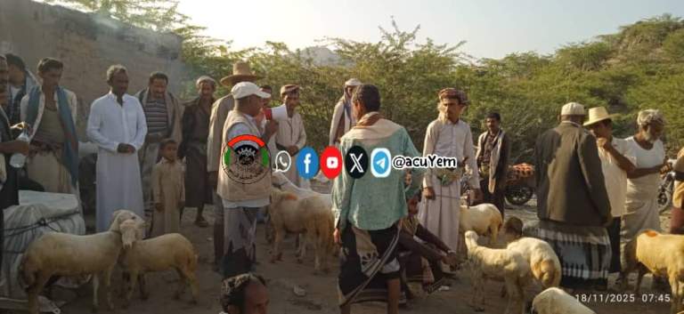 جهود توعوية بيطرية متواصلة في بني قيس لحماية الثروة الحيوانية وتحسين سلالاتها
