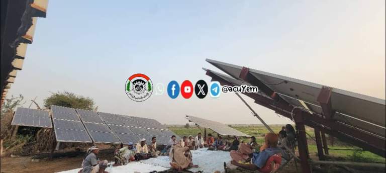 تشكيل مجموعة إنتاجية للألبان وتوزيع بذارات ذرة شامية