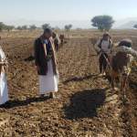 جمعية ريدة التعاونية ومكتب الزراعة ينفذان نزولاً ميدانياً لمتابعة برنامج التوسع الرأسي لمحصول القمح جمعية ريدة التعاونية ومكتب الزراعة ينفذان نزولاً ميدانياً لمتابعة برنامج التوسع الرأسي لمحصول القمح