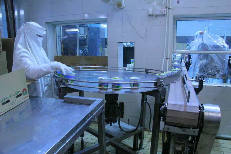 استراتيجية توطين الالبان توفر فرص عمل لأكثر من 20 ألف نسمة بمحافظة الحديدة