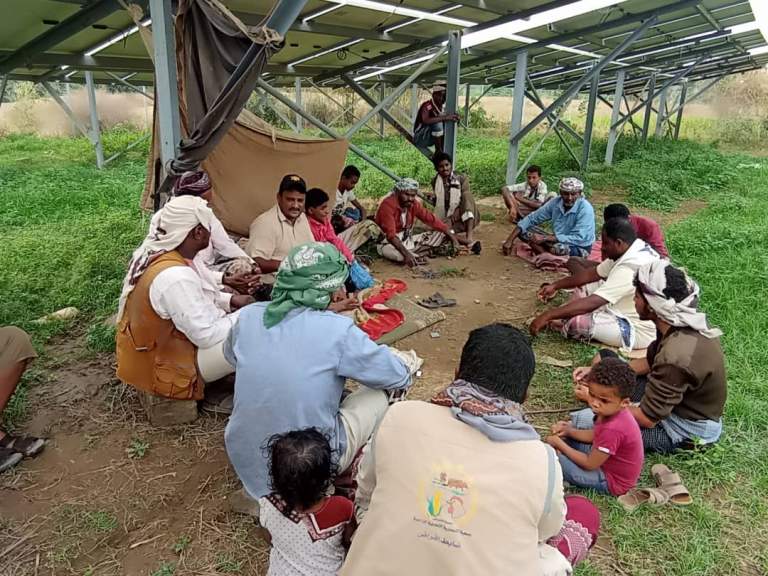 جمعية المنصورية التعاونية تُشكّل مجموعة إنتاجية للنحالين في عزلة الوعارية