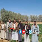 جمعية مجزر التعاونية تستقبل وفداً رسمياً للاطلاع على توسع زراعة القمح وتشكيل المجاميع الإنتاجية جمعية مجزر التعاونية تستقبل وفداً رسمياً للاطلاع على توسع زراعة القمح وتشكيل المجاميع الإنتاجية