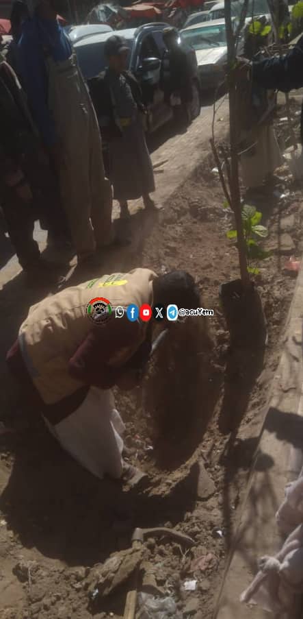 جمعية بني الحارث التعاونية تنفذ مبادرة تشجير الطرق بالمديرية￼￼￼￼ ￼