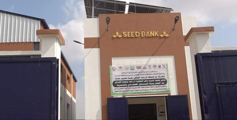 تدشين بنك البذور المجتمعي بمديرية باجل في الحديدة