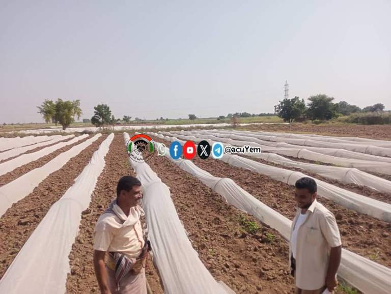 فريق من جمعية بيت الفقيه ينفذ نزولاً ميدانياً للتحقق من المجاميع الإنتاجية النموذجية في المحراسة والمجاملة