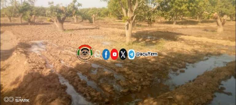 جمعية زبيد التعاونية الزراعية تنفذ زيارة ميدانية لتعزيز الإنتاج الزراعي في وادي زبيد