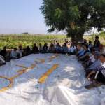 جمعية باجل التعاونية تنفذ لقاءً توعويًا مع المجموعة الإنتاجية لمزارعي الذرة الشامية جمعية باجل التعاونية تنفذ لقاءً توعويًا مع المجموعة الإنتاجية لمزارعي الذرة الشامية