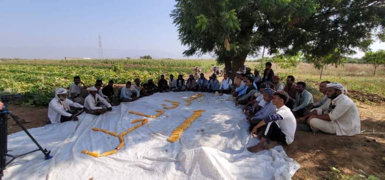 جمعية باجل التعاونية تنفذ لقاءً توعويًا مع المجموعة الإنتاجية لمزارعي الذرة الشامية￼￼￼￼