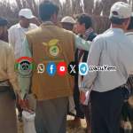 جمعية زبيد تنفذ زيارتين ميدانيتين لدعم زراعة الذرة وتشكيل مجاميع إنتاجية في الحبيل جمعية زبيد تنفذ زيارتين ميدانيتين لدعم زراعة الذرة وتشكيل مجاميع إنتاجية في الحبيل