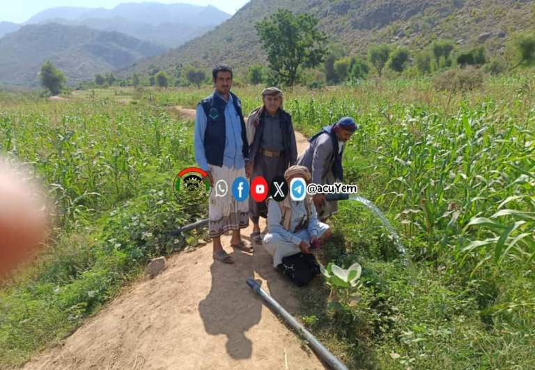 متابعة محصول الذرة الشاميّة واستكمال القروض البيضاء في عزلة عيان بخبت المحويت￼￼￼￼ ￼