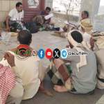 تشكيل مجموعتَين إنتاجيّتَين للنحل في عزلة مسعود في بني قيس￼￼￼￼